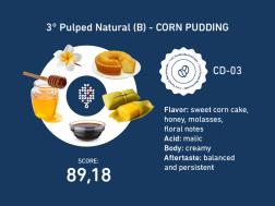 3° Pulped Natural (B)