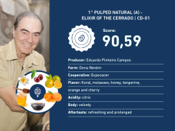 1° Pulped Natural (A)