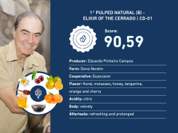 1° Pulped Natural (B)