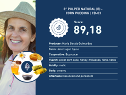 3° Pulped Natural (B)