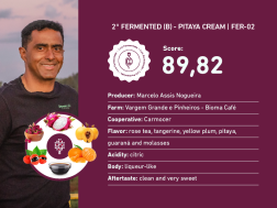 2° Fermented (B)